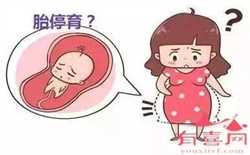 上海助孕生子价位，上海试管助孕成功率多少？