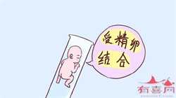 上海试管做龙凤胎费用，上海做试管婴儿费用大约多少能一次成功吗