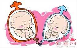 上海试管代生一般价格，上海试管婴儿费用一般是多少？
