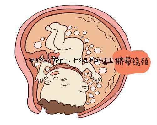 上海助孕生子靠谱吗，什么是上海供卵助孕医院？