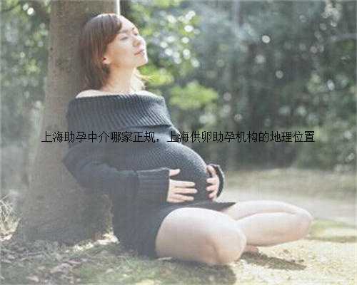 上海助孕中介哪家正规，上海供卵助孕机构的地理位
