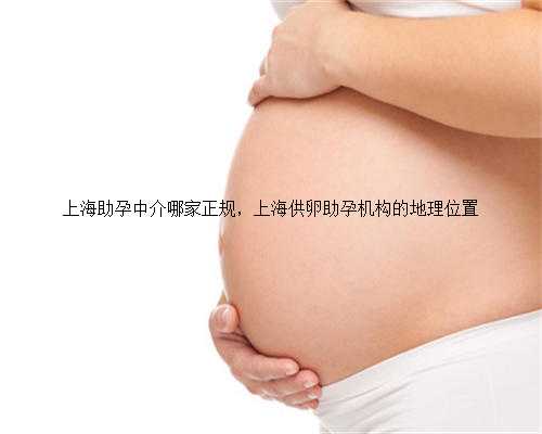 上海助孕中介哪家正规，上海供卵助孕机构的地理位置