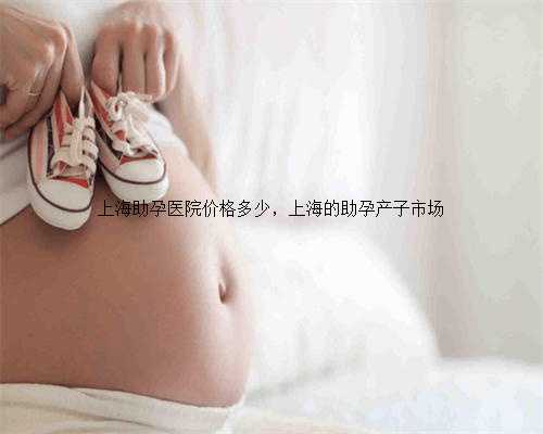 <strong>上海助孕医院价格多少，上海的助孕产子市场</strong>
