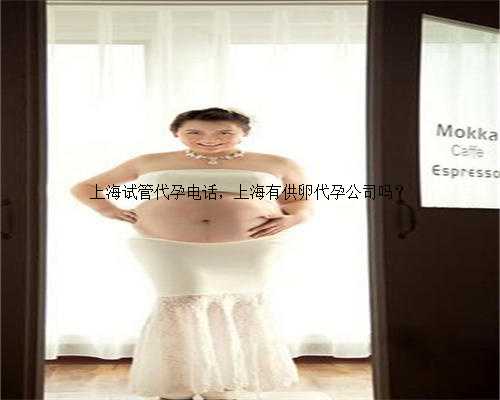 上海试管代孕电话，上海有供卵代孕公司吗？