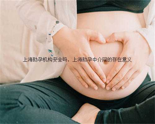 上海助孕机构安全吗，上海助孕中介网的存在意义