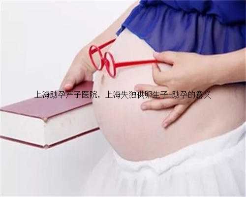 上海助孕产子医院，上海失独供卵生子-助孕的意义